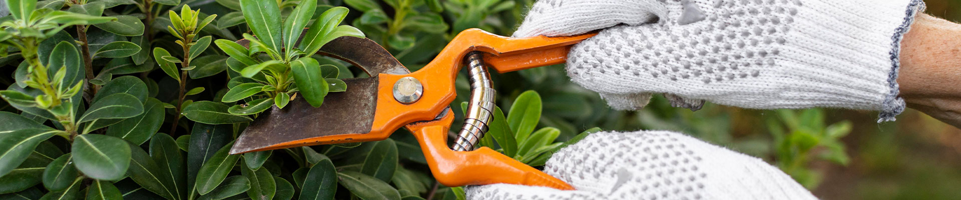 Garden Maintenance Services Apartman Çöp Hizmeti Apartment Waste Bahçe Bakım Hizmetleri Apartman Çöp Hizmeti Apartment Waste Bahçe Bakım Hizmetleri Garden Maintenance Services